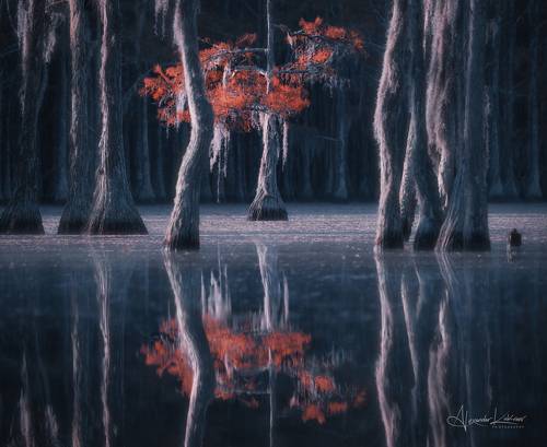 Акценты осени...