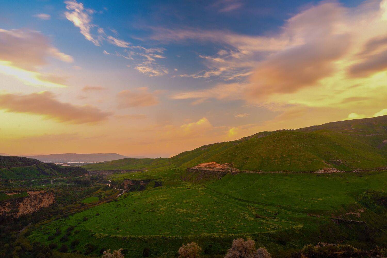 , Abdulrahman Sawalha