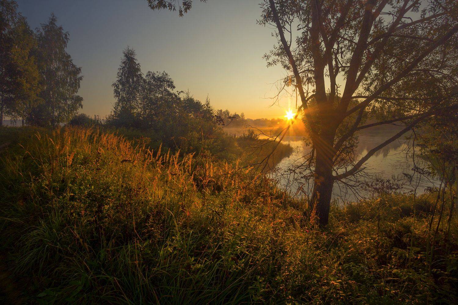 , Елена Рубинская