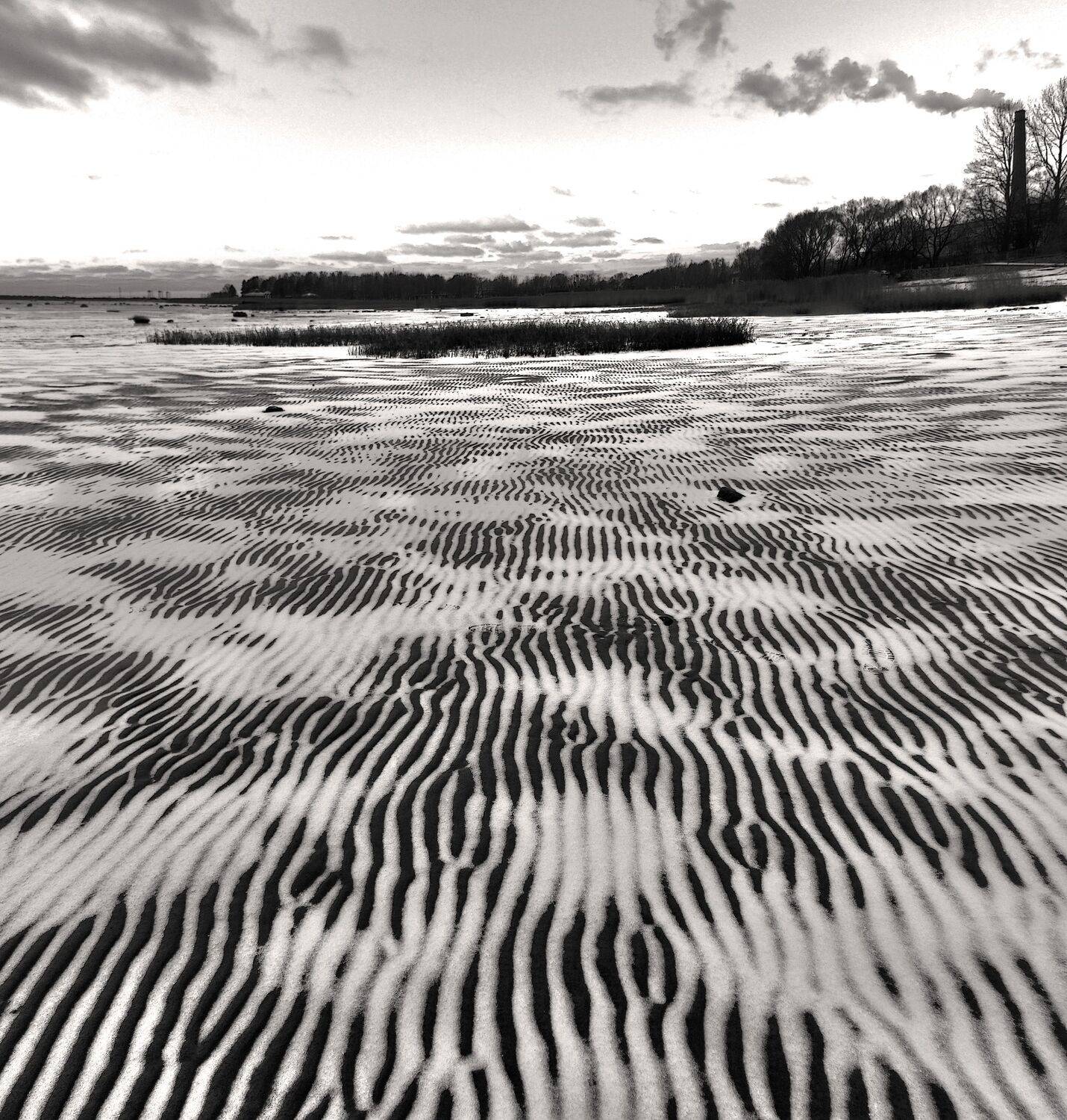 , Сергей Григорьев