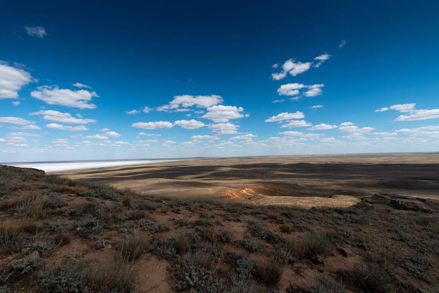 desert, volgogad, russia, wildlife, sky, , Сторчилов Павел