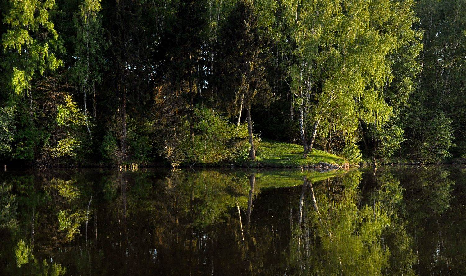 , Макеев Алексей