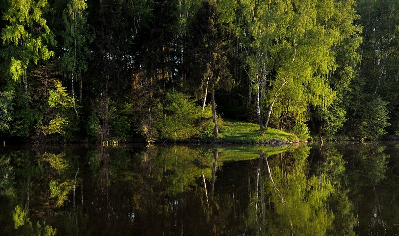 ... фото превью