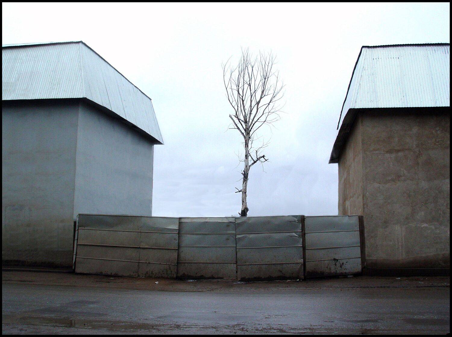 , Меднов Влад