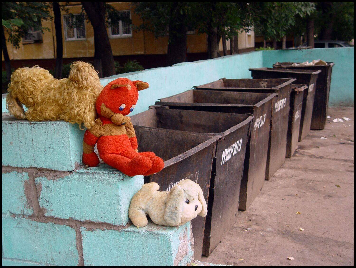 , Меднов Влад