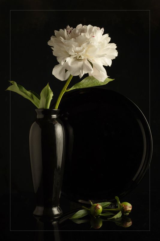 .... фото превью