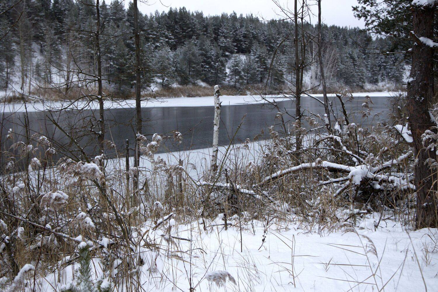 ноябрь осень озеро снежноеозеро , Елена Колосова