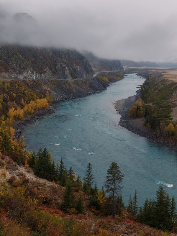 алтай Река Катунь фото превью