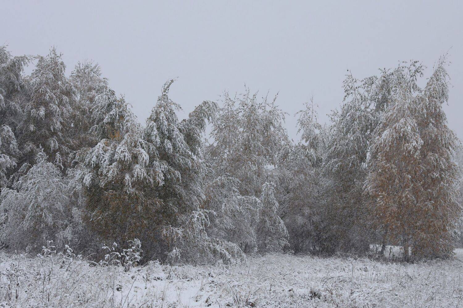 , Константин Буркин