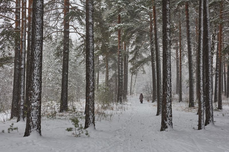 В метель... фото превью