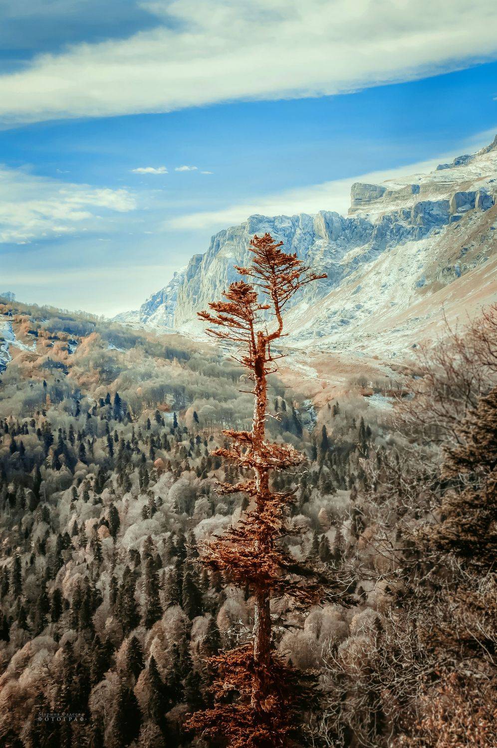 пейзаж, реликт, адыгея, горы,  Мариночка