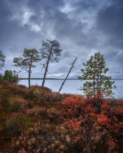 Хмурая осень на Большом Кадаме