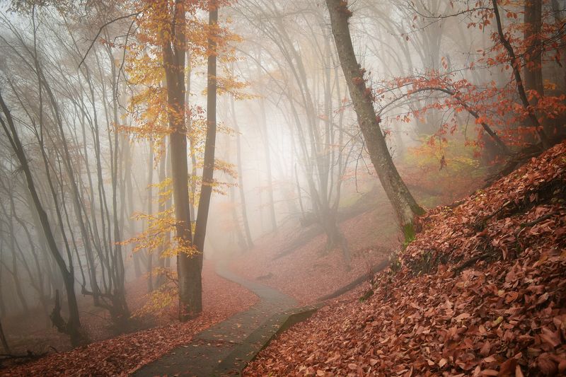 Осенняя сказка фото превью