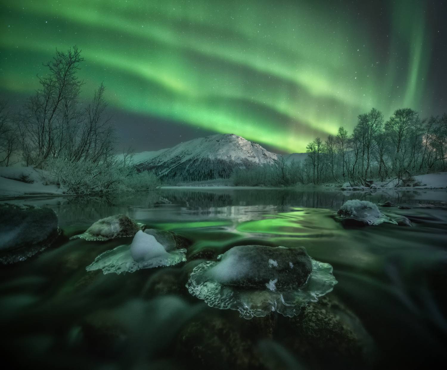 кольский, Андрей Грачев