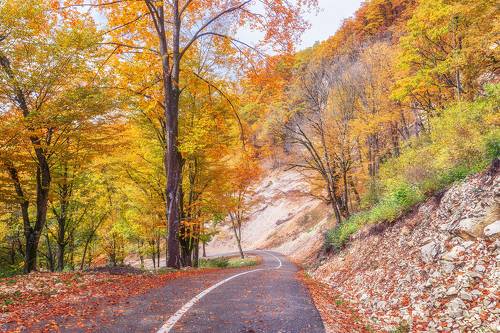 По Чеченской республике