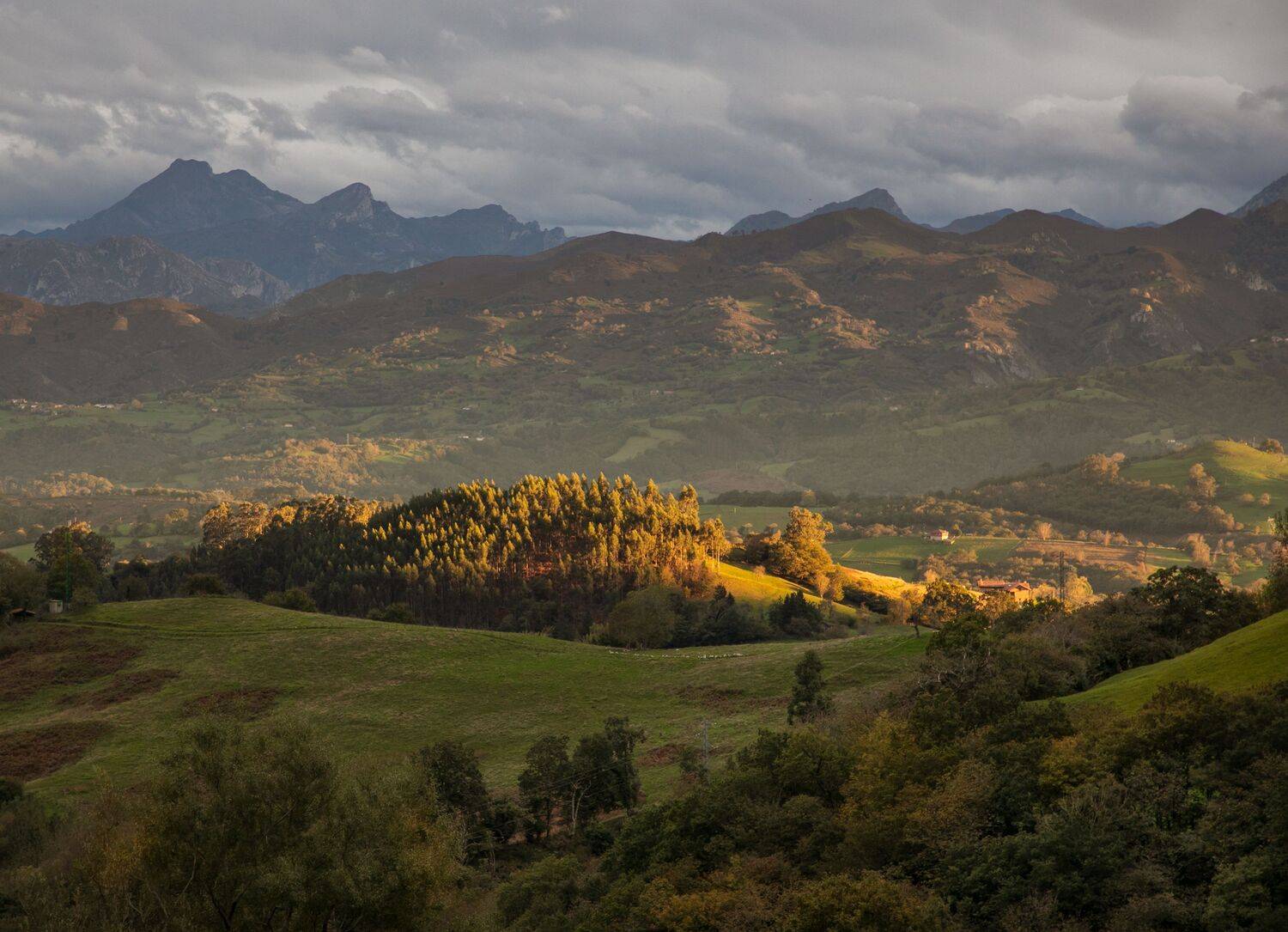 , Алекс Римский