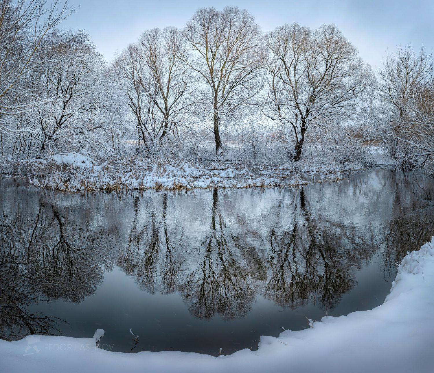 белгородская область, белогорье, зима, зима22, зимнее, первый снег, снежное, отражение, река короча, ива, деревья, ажурные кроны, ветви, берег, пасмурное, белый,, Лашков Фёдор