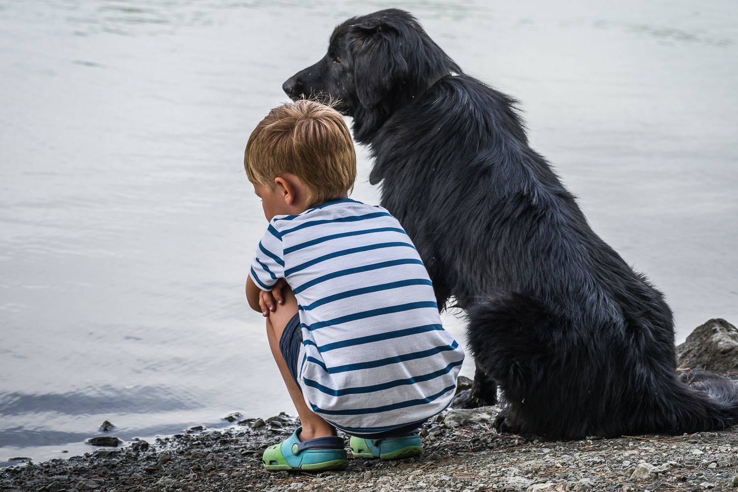 , Максимова Дария