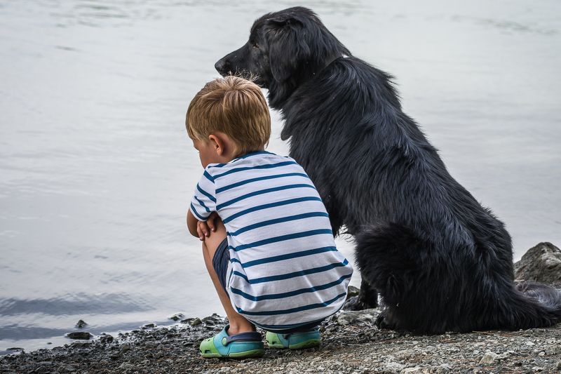 Пес и его мальчик фото превью