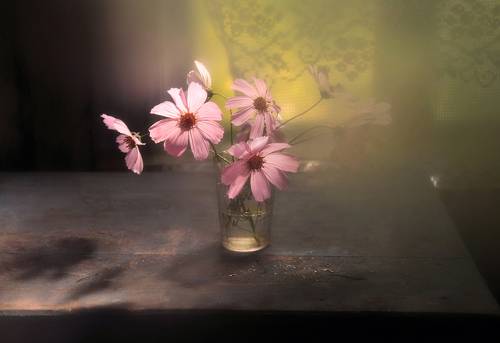 В объятиях света