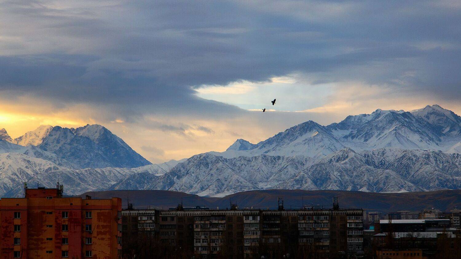 кыргызстан, бишкек, Элина Магалимова