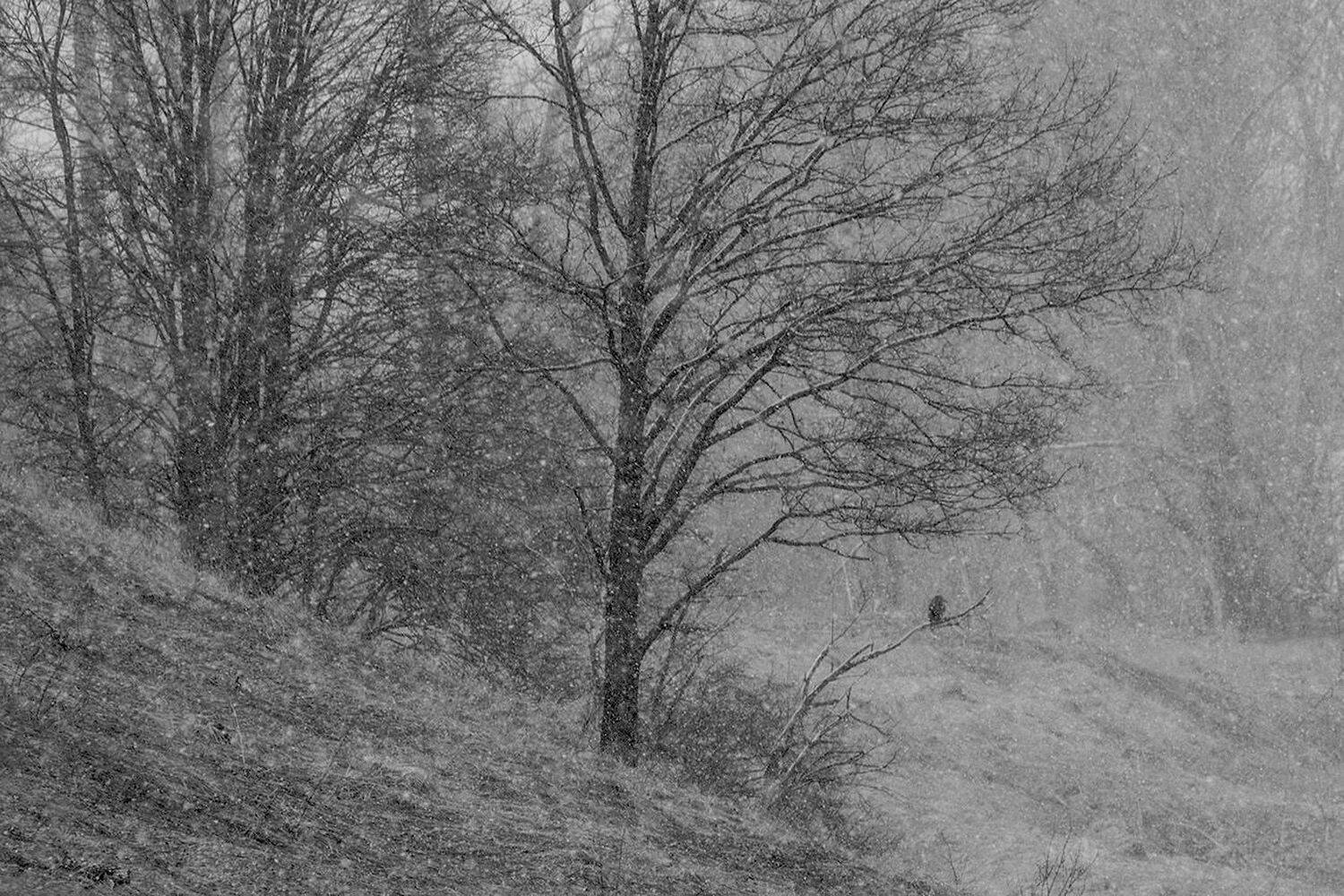 непогода, ненастье, архангельское, Михаил Агеев