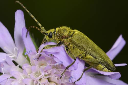 Перед грозой