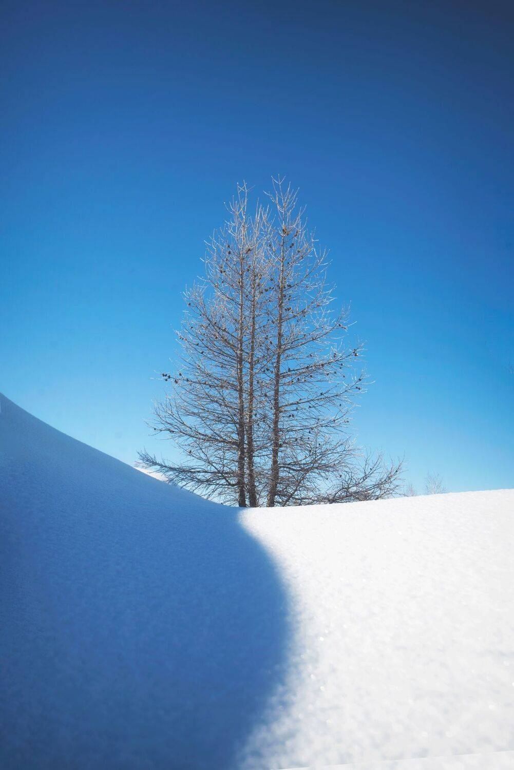 , Антонов Антон