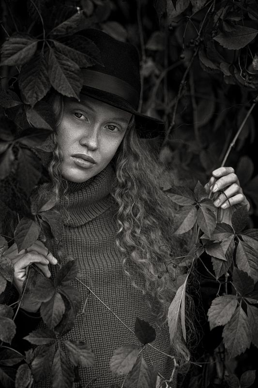 фото превью