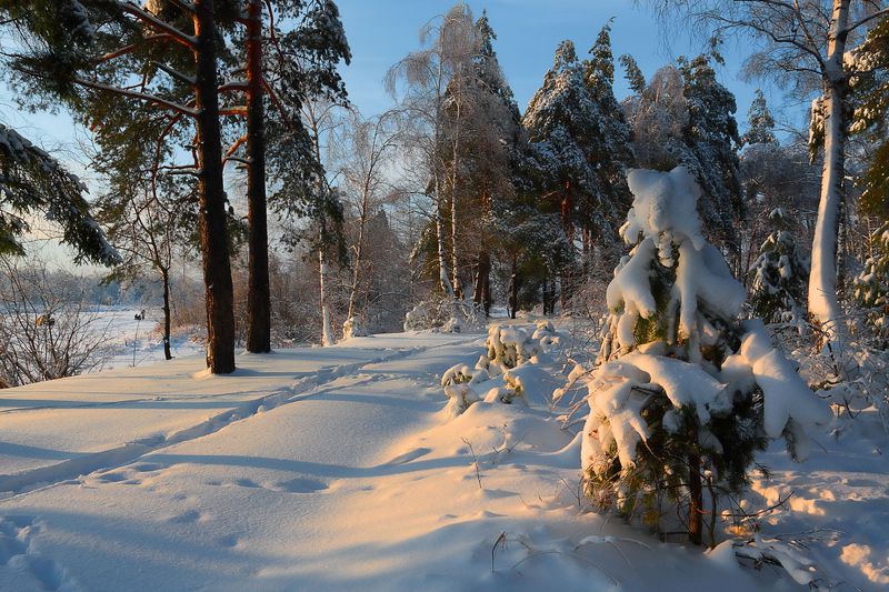 *** фото превью