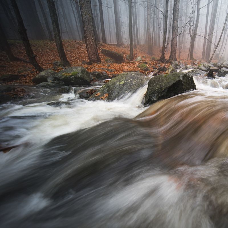Мъглива Витоша фото превью