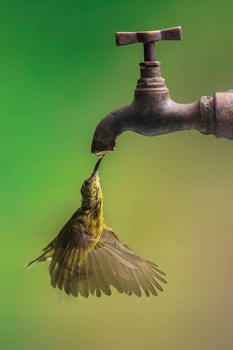 Thirsty 