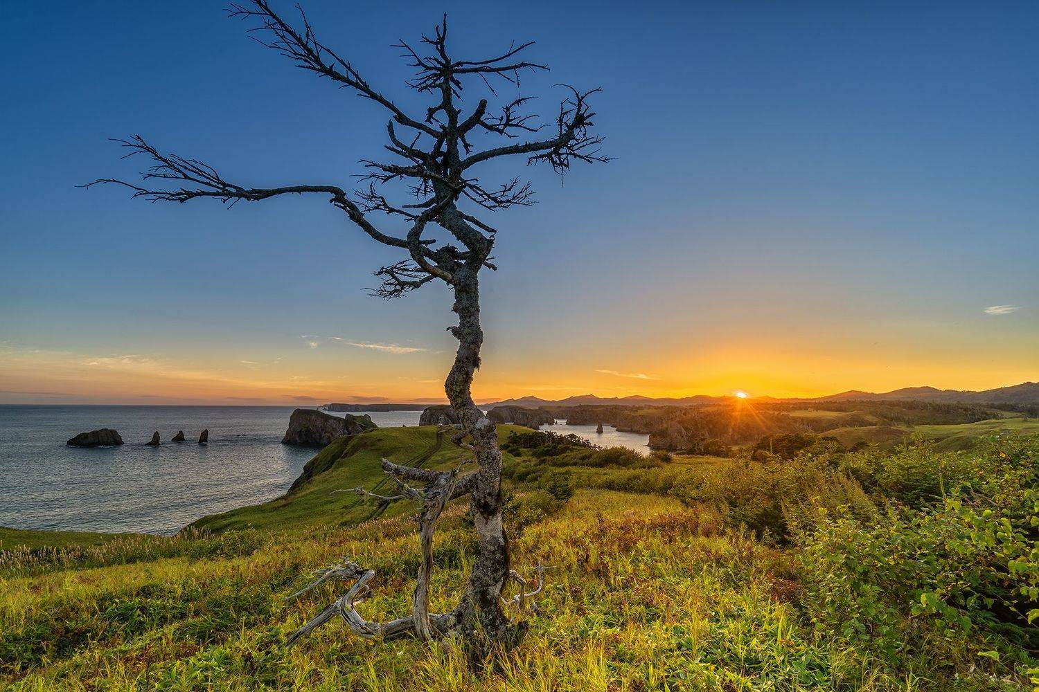 Шикотан, Курилы, Россия, пейзаж, Лариса Николаевна Дука