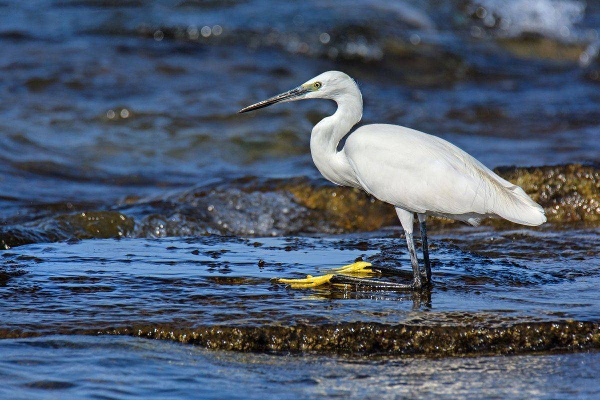 , Людмила Бекман