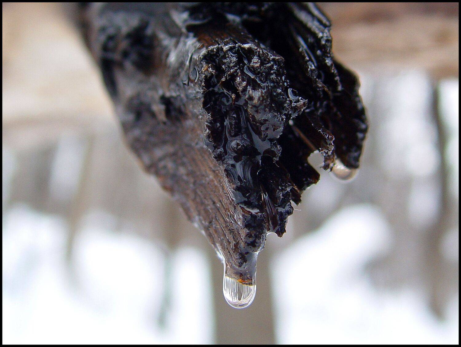 , Меднов Влад