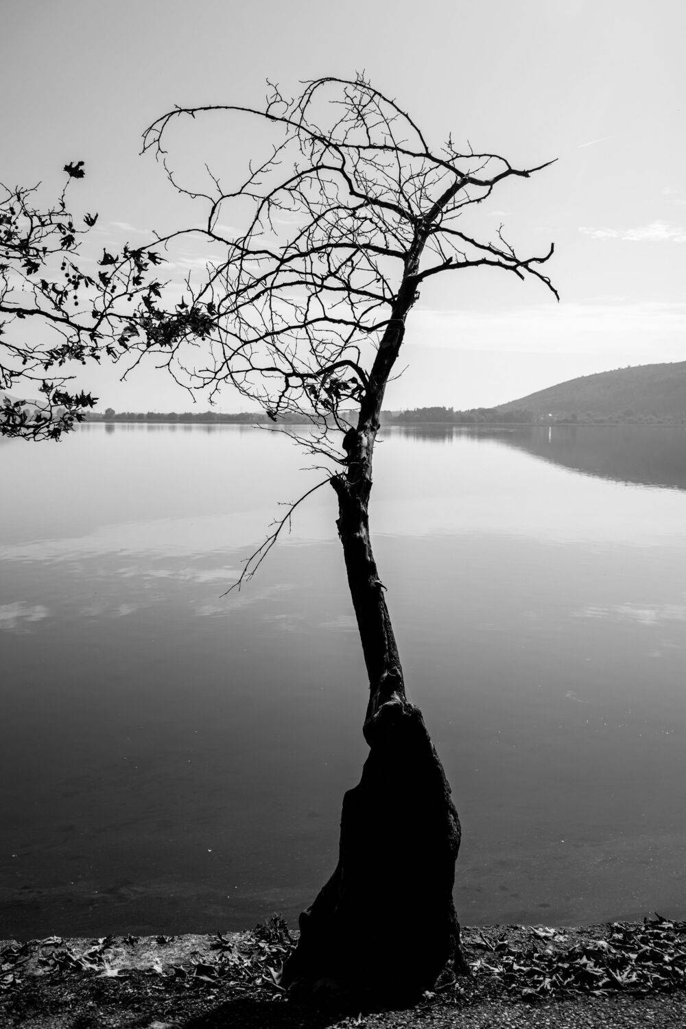 , Alexander Shilov