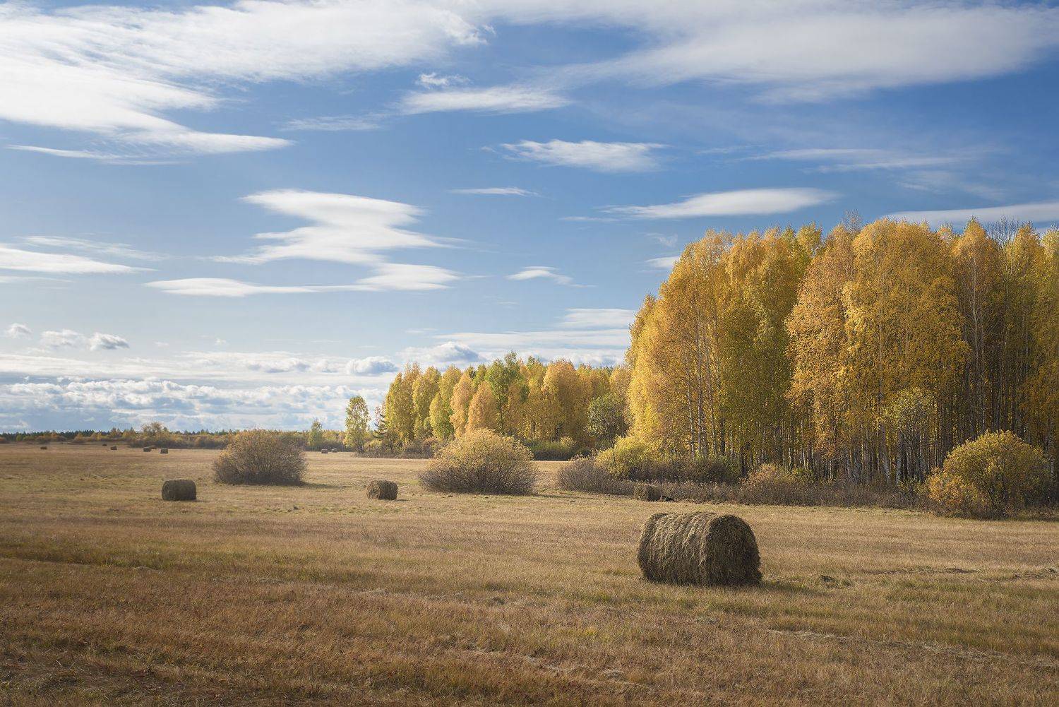 осень, Александр Степочкин