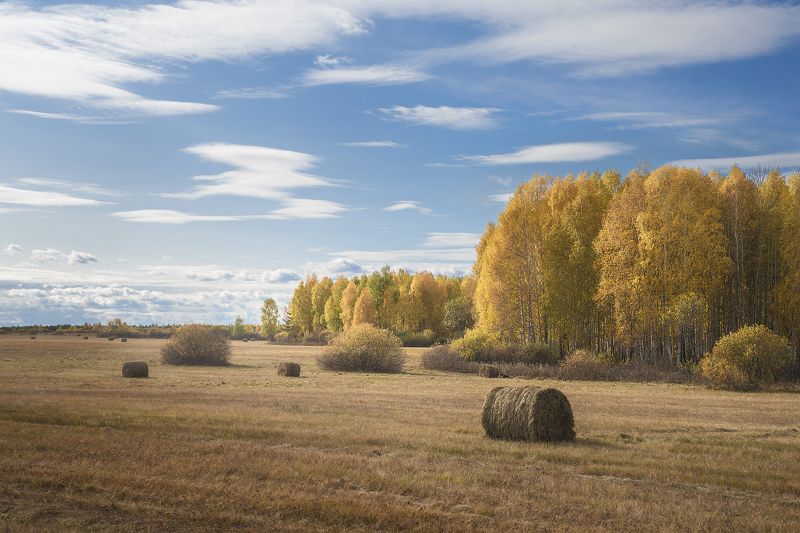 осень Краски осени. фото превью