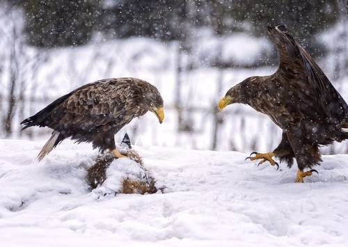 Делиться надо...