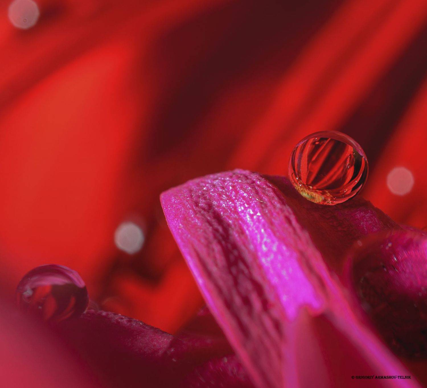 #color_image #color #drop #liqiud #macro #water #macrophoto #flowers, Армашов-Тельник Григорий