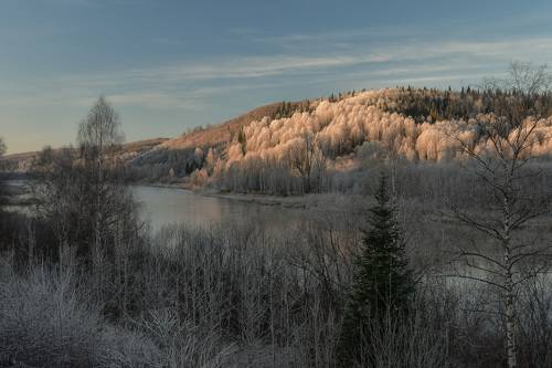 Поздняя осень у реки
