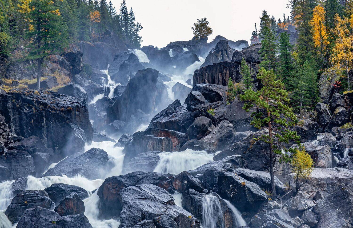 , Евгений Дроботенко