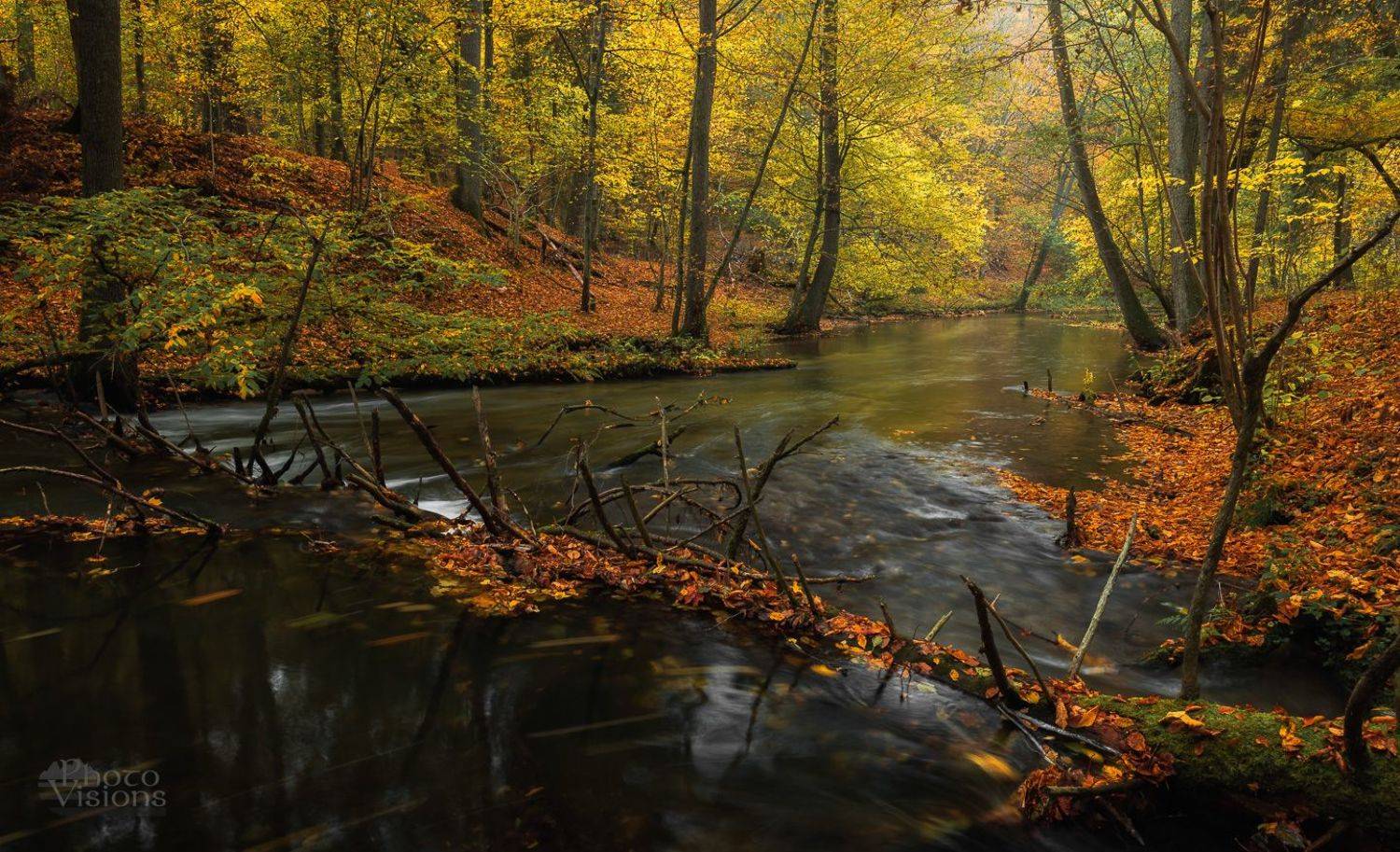 river,forest,autumn,woodland,woods,trees,nature,landscape,, Photo Visions