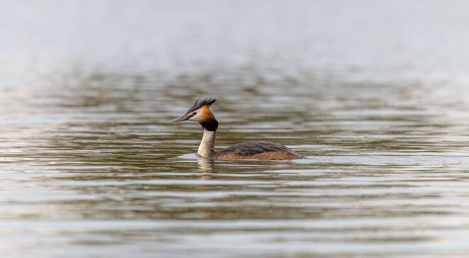 , Евгений Бушков