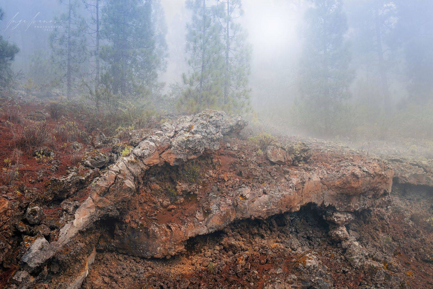 , Инга Иванова