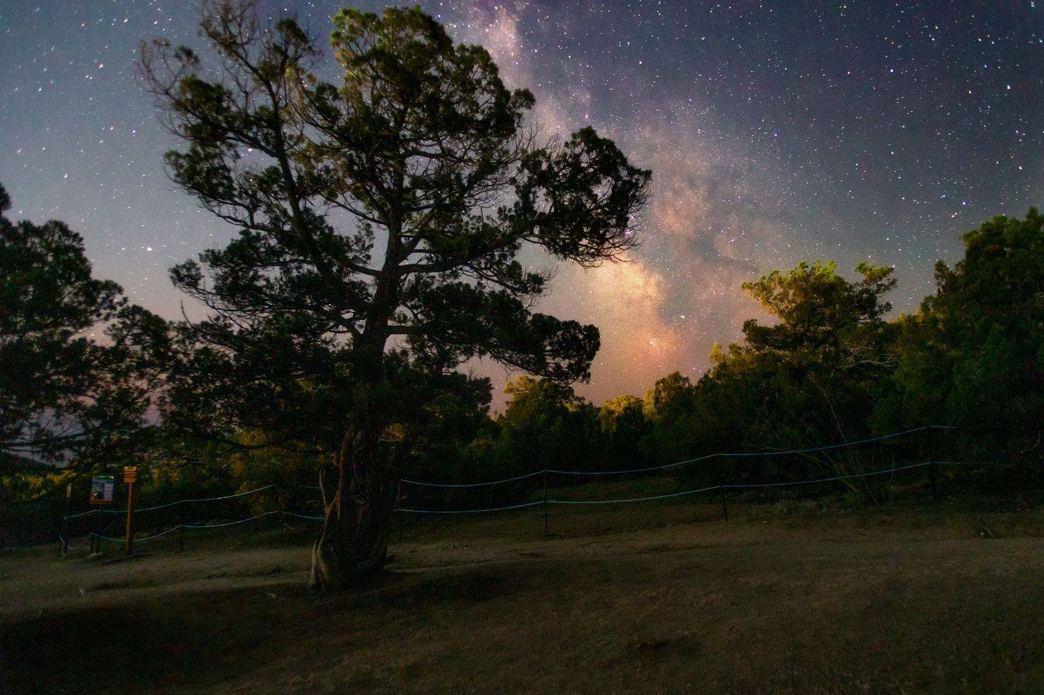 , Юрий Столыпин