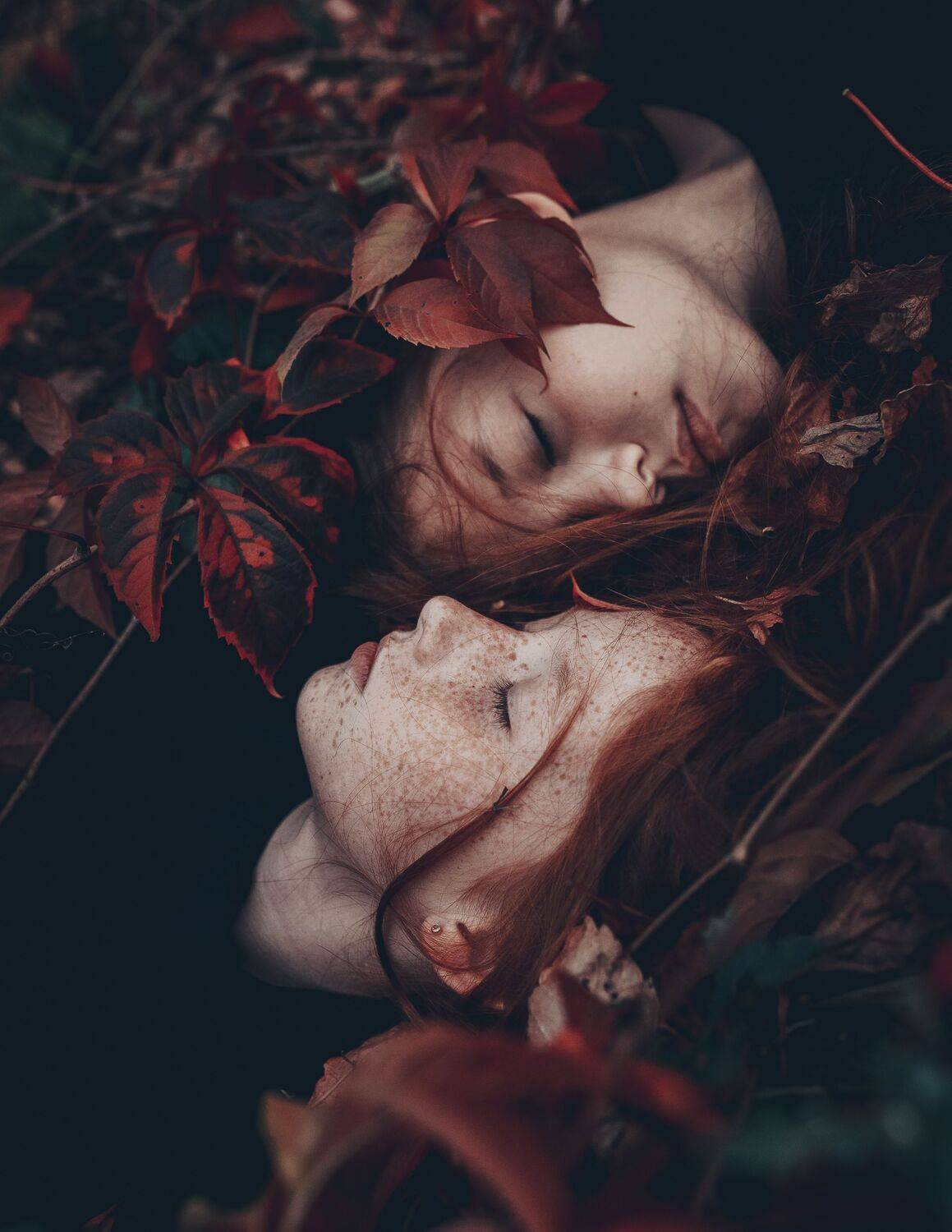 35mm, 4x5, 6x6, 6х6, 85mm, Art, Artnude, Ballerina, Ballet, Battur, Beautiful, Beauty, Canon, Canon 5D Mark III, Car, Color, Dance, Dress, Emotion, Eyes, Face, Flowers, Ganzo, Genre, GirlHair, Hero,LightLilac, Model, Mongol, Mongolia, Вероника Гергерт