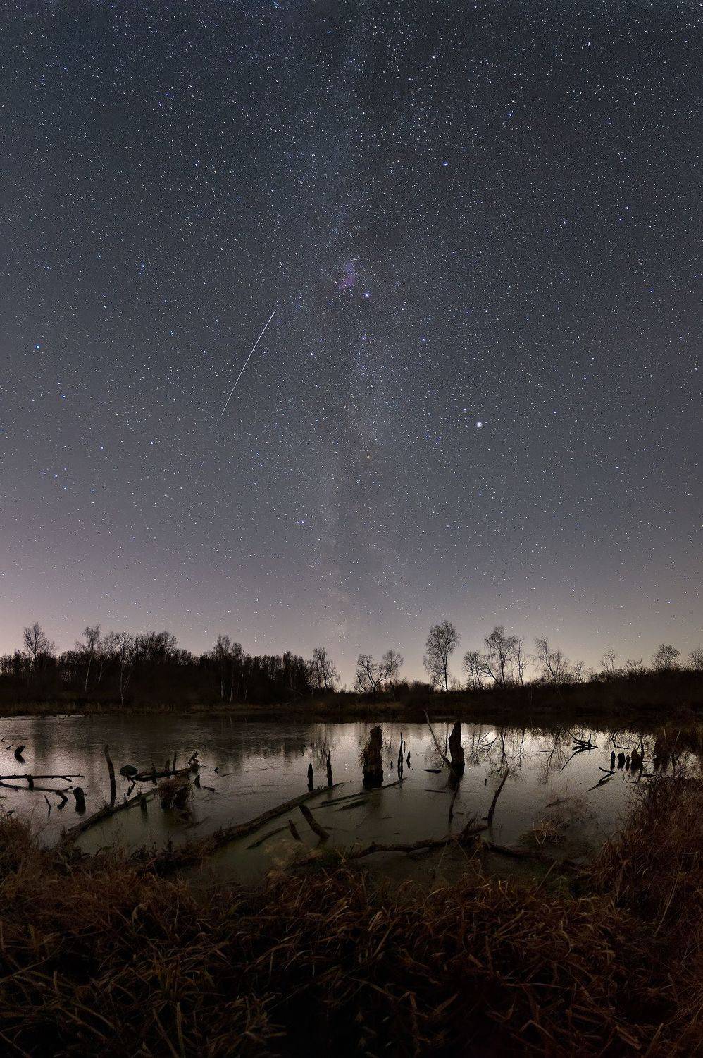 , Стрельцов Виталий
