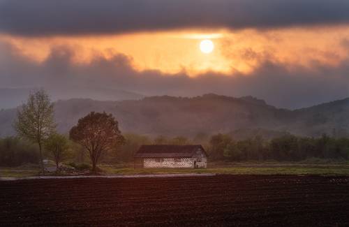 Roadside sunset