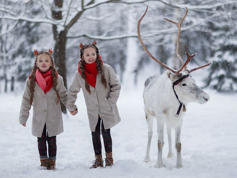 дети,олень, прогулка,лес, эмоции,красота, children,deer, emotional, nature, beautiful, forest Волшебная прогулка фото превью